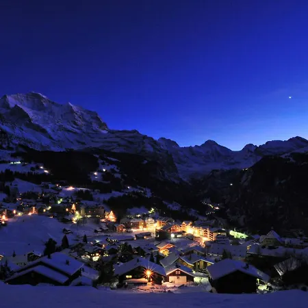 Apartment Tschingelhorn *