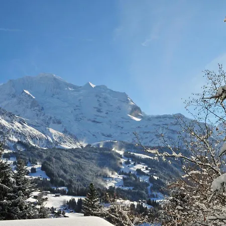 Tschingelhorn Apartment *