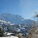Tschingelhorn Apt- R By Interhome Daire *