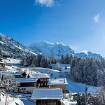 Tschingelhorn Apt- R By Interhome Appartamento *